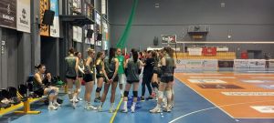 messiniakosomiliasourigewrgia_result